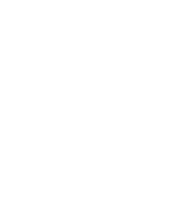 Fakten, Fakten, Fakten...